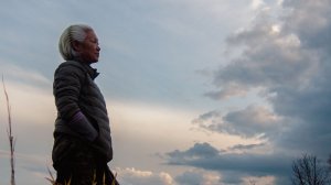 Апрельские визиты на участок/копаю лунки под новые деревья- Видеодневник #5/19.04.2026