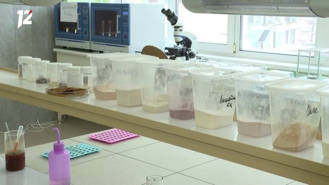 🌿 В ОмГТУ создают природные антибиотики из лишайников и гвоздики