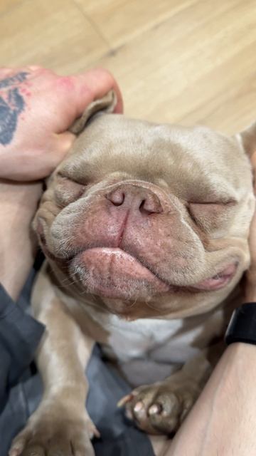 Обзор инопланетного зверя, которого еще не видела наука 👽