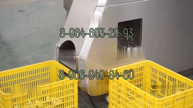 Машина для разделения цветной капусты на соцветия