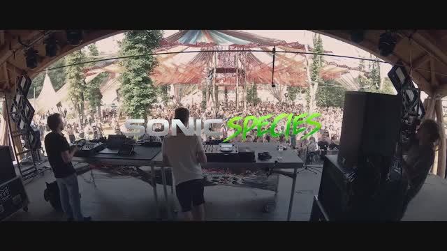 Sonic Species @ Ozora Festival 2019 (Psychedelic Trance DJ Mix)
