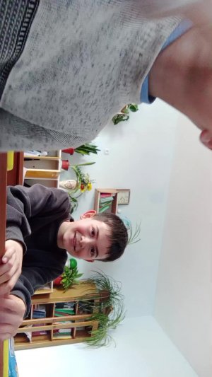 стрим в школе