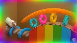 Хомячки против Садовых Монстров – Решающая Битва! часть 3