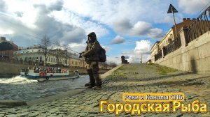 АПРЕЛЬСКАЯ ГОРОДСКАЯ РЫБА 2026 РЕК И КАНАЛОВ СПБ КИЛОГРАММОВЫХ НЕТ ЛОВЯТСЯ ТОЛЬКО МЕЛКИЕ ОСОБИ ОКУНЯ