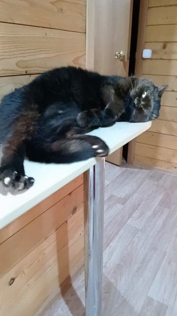 Тёмное на светлом