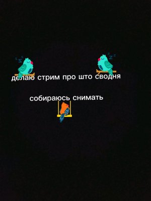 про что я собираюсь делать ролики сегодня