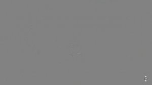 cross championship '26- 3 workout