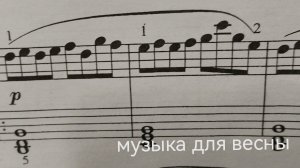 пионинные цвета 🎹