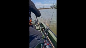 Рыбалка в Астраханской области Апрель 2026г, Рыбалка на раскатах