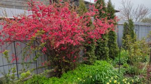 Прогулка по южному саду 22.04.2026 г. Пятигорск.