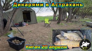 Рыбалка Дикарями в Астрахани апрель 2026 года