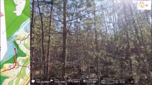 Сосновоборские Дюны 2026. 11-04-2026. кросс-классика. М55.