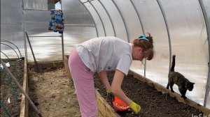 Только пыль летит из-под копыт😆