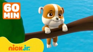 Малыш Крепыш в Щенячьем патруле и застрял на дереве!