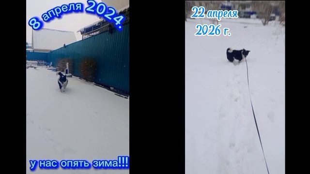 Зима в апреле.