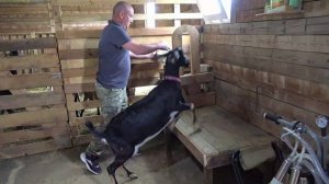 Семья Стрикачевых воплотила мечту о своем деле благодаря социальному контракту