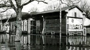 О родине с любовью.