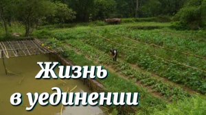 Lý Thị Ca , осуществила свои мечты: и это жизнь в уединении на тихой ферме