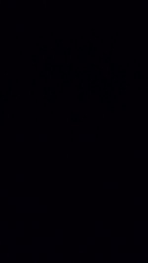 король  и шут жив