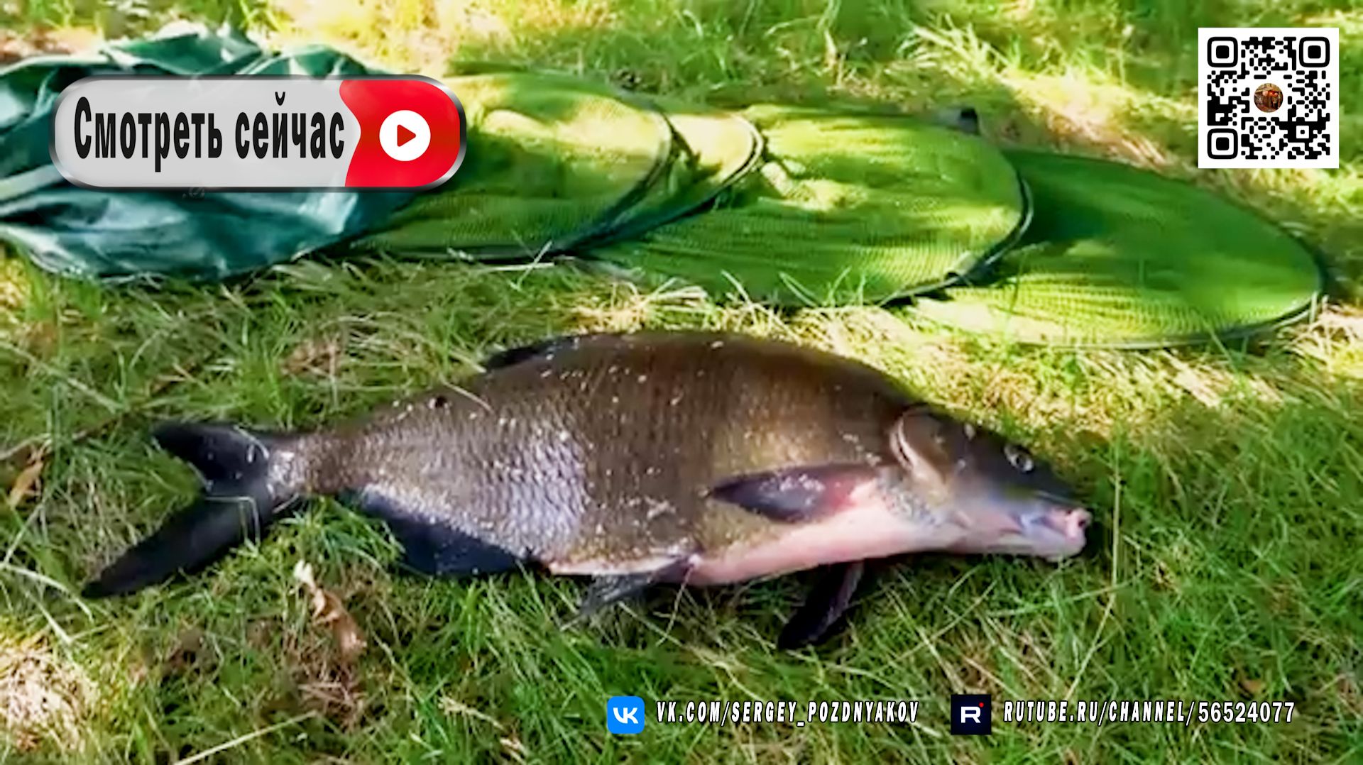 Рыбалка на озере Гигантов!