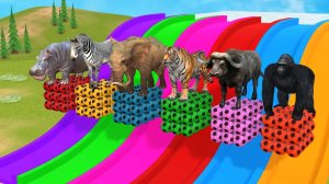 «САМАЯ ДЛИННАЯ ГОРКА! Т-Рекс, Горилла и Лев Прыгают в Цветные Фонтаны! 3Д Игры Мультик»