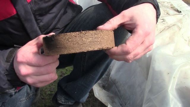 Муромцево 21 апреля  2026г дымовая шашка