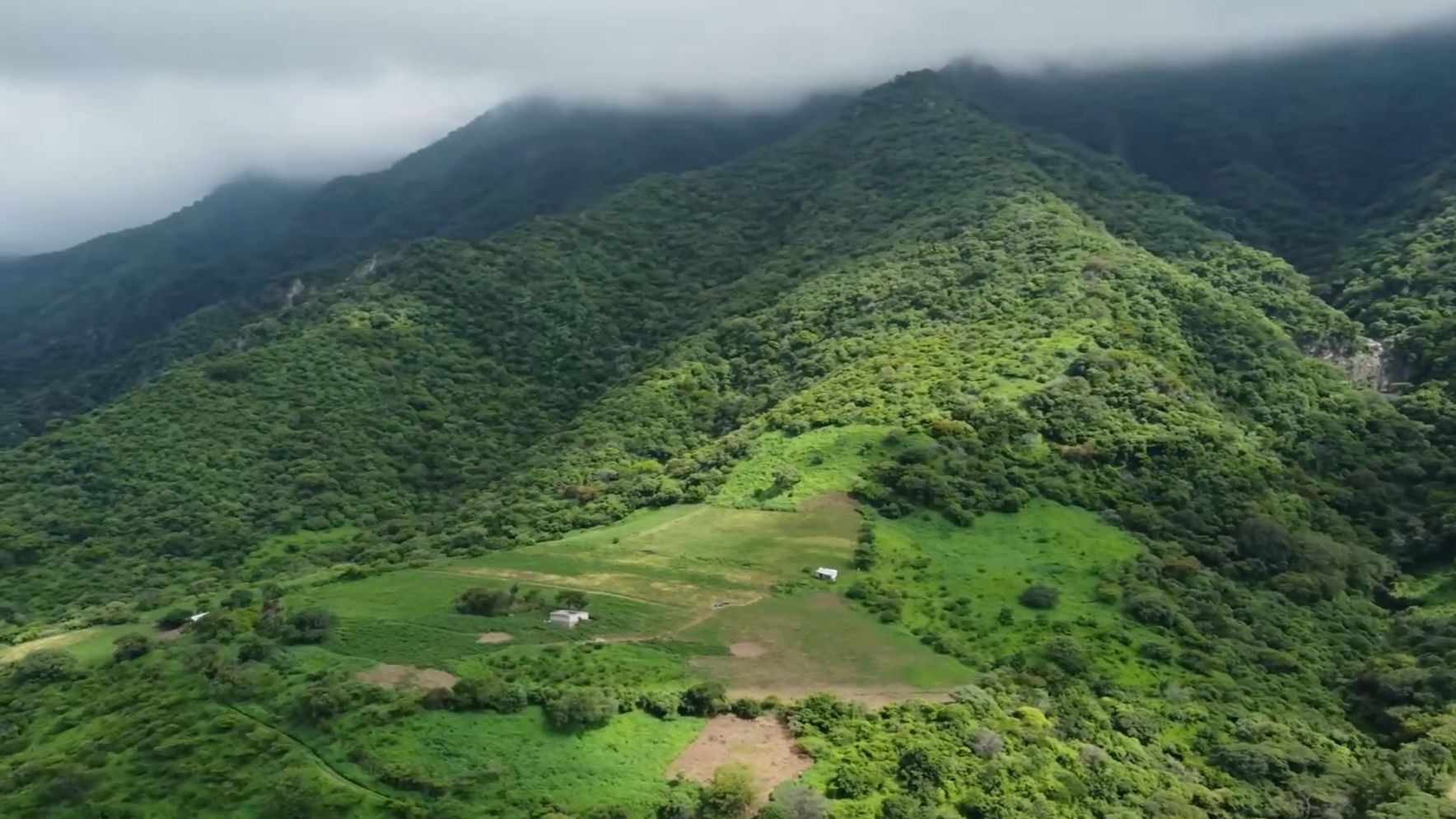 СБОРНИК КРАСИВЫХ ЖИЗНЕННЫХ ПЕСЕН #шансон #newmusic #николайберег