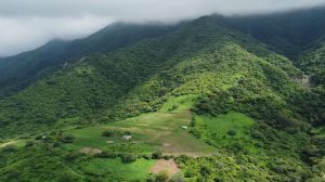 СБОРНИК КРАСИВЫХ ЖИЗНЕННЫХ ПЕСЕН #шансон #newmusic #николайберег