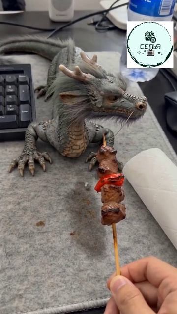 РУЧНОЙ ДРАКОН ГОТОВИТ И ЕСТ ШАШЛЫК