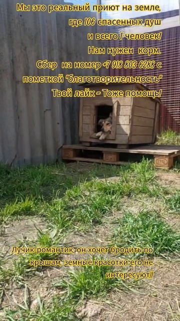 НАС107=106хвостиков  +1человек!