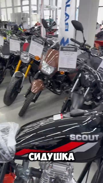 Это не просто мотоцикл — это Скаут-10 PR300! 🏍️💨