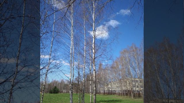 Неужто © Copyright: Бронислав Сычёв, 2026
Свидетельство о публикации №126042206244