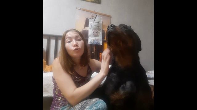 АЛТАЙСКИЙ ИГОРЬ. ОТЗЫВ. РОТВЕЙЛЕР