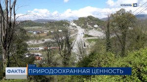 В Сочинском нацпарке в 2026 году планируют обследовать свыше 3 тыс. участков
