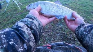 ТРЕТИЙ ВЫЕЗД В ВОЛОКОЛАМСК МОСКОВСКАЯ ОБЛАСТЬ