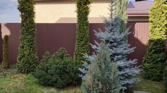 Сегодня годовщина нашего венчания...