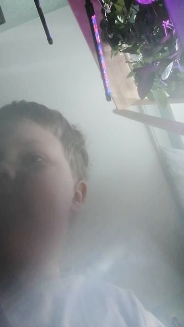 Ва пис часть 2