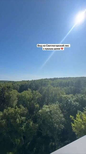 -6542675611409940862