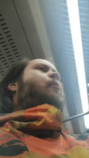 Поездки в общественном транспорте | 22-апр-2026