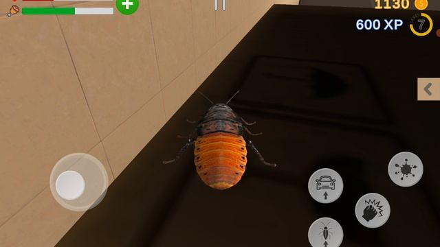 новая игра про жучков: симулятор таракана: жука