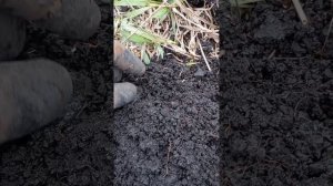 Открытие сезона 2026