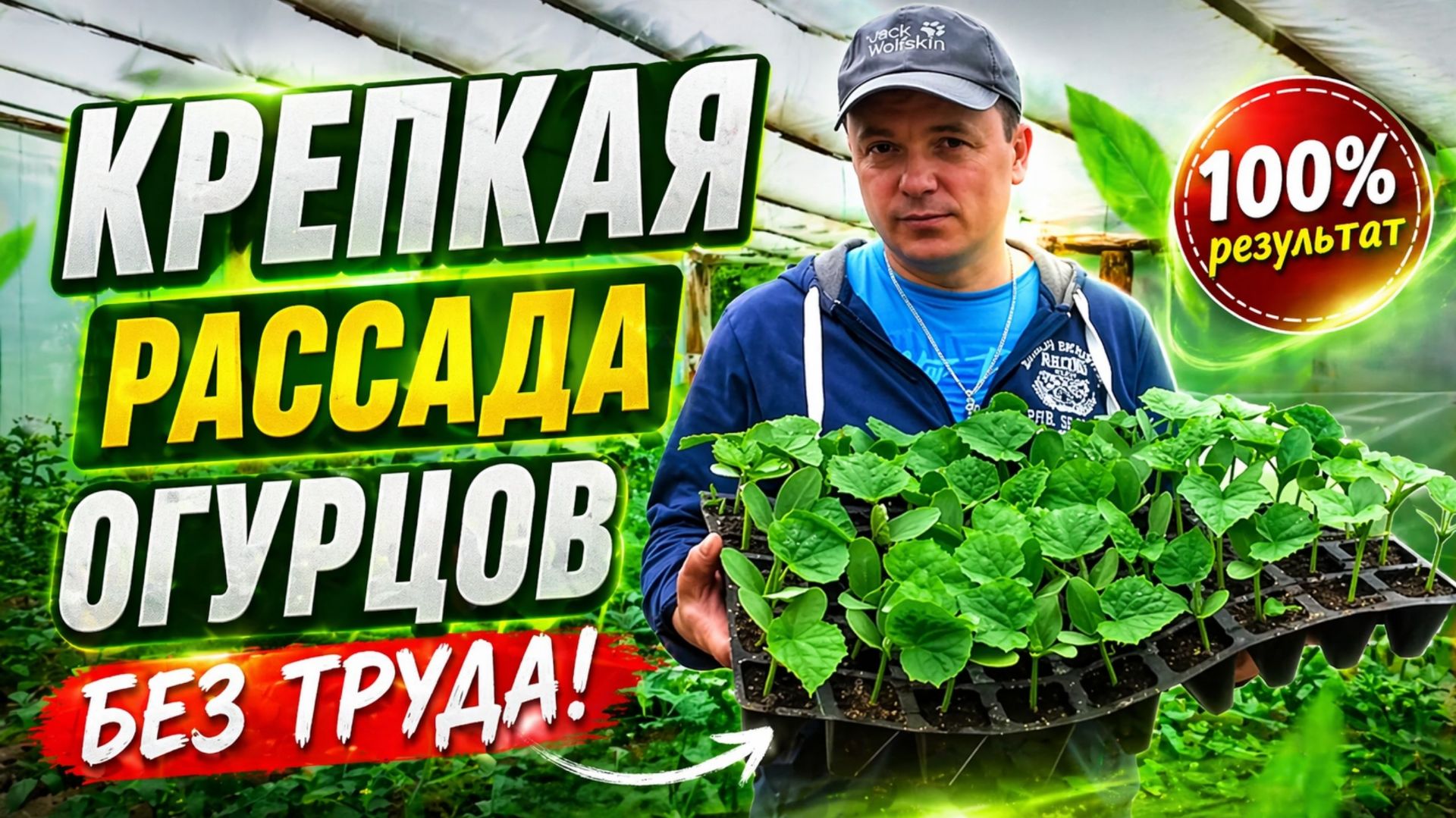 Лучший способ вырастить много крепкой рассады огурцов!