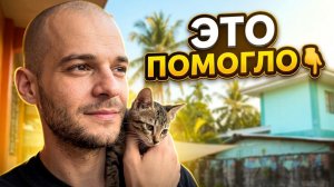 ИСХОД РУССКИХ МУЖИКОВ В ДЖУНГЛИ. ЗАСТОЙ В ЖИЗНИ КАК Я С ЭТИМ СПРАВЛЯЮСЬ  VLOG С КОТИКОМ. ФИЛИППИНЫ!