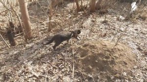 Солнышко пригревает.