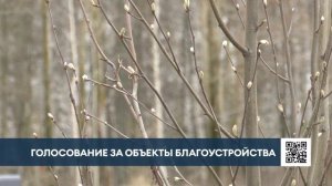 Нижнекамцы могут выбрать общественные пространства для благоустройства в 2027 году