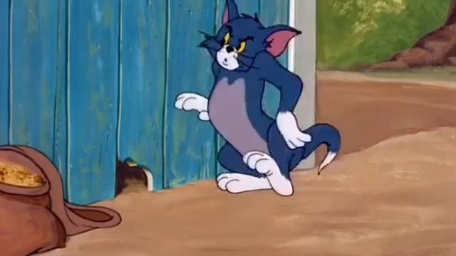 Том и Джерри.