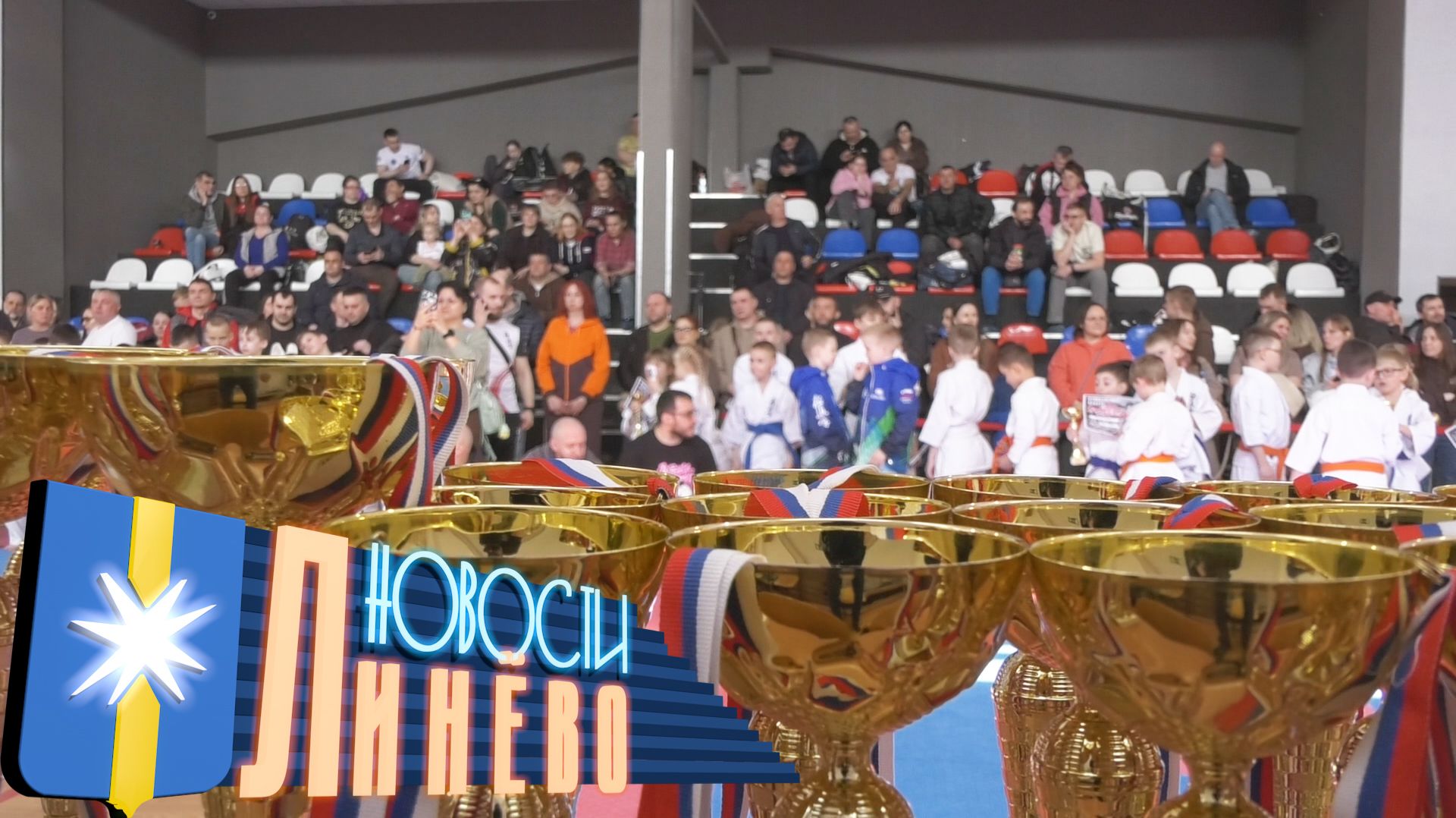 Кубок главы по карате