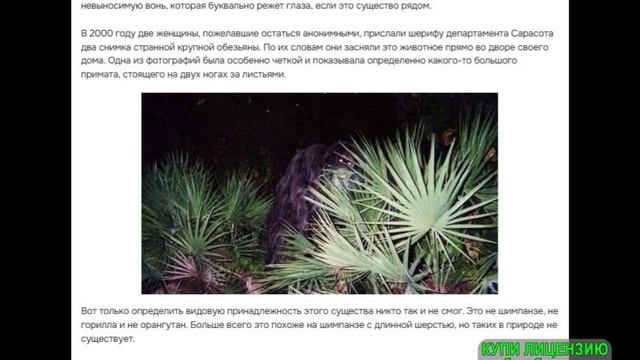 В продолжение предыдущего видео.