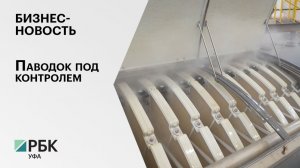 Бизнес-новость. Паводок под контролем