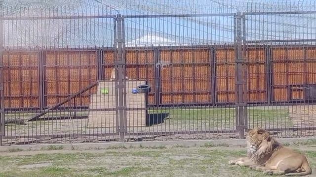 RDAP6111 Видео от Ивана